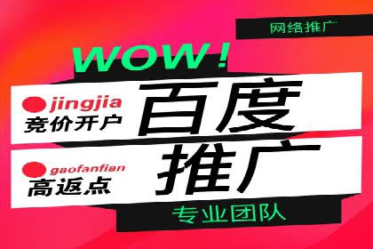 百度推广的投放策略与效果分析